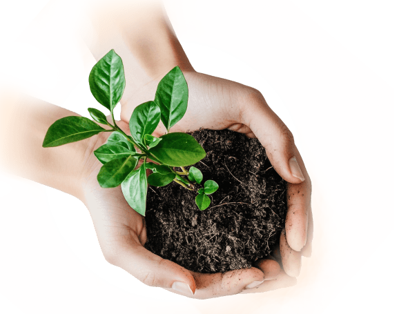 Get In Touch With Us